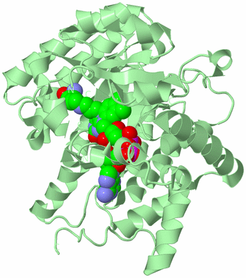 Image Biological Unit 2