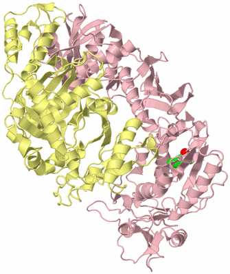 Image Biological Unit 2