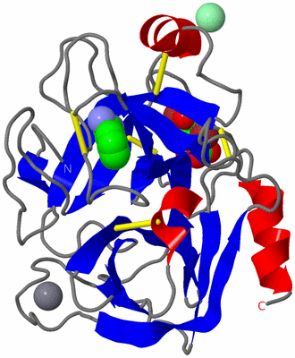 Image Asym./Biol. Unit