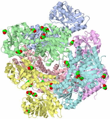 Image Asym./Biol. Unit