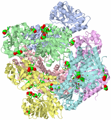 Image Asym./Biol. Unit - sites