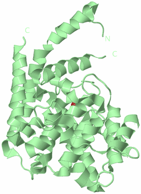 Image Biological Unit 2