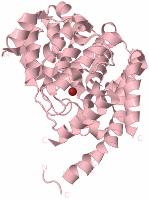 Image Biological Unit 3