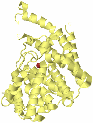 Image Biological Unit 4