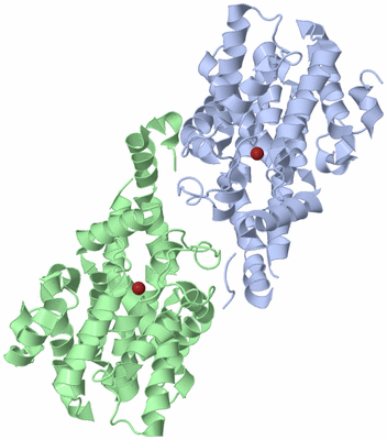 Image Biological Unit 5