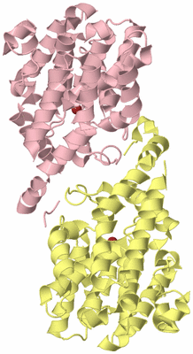 Image Biological Unit 6