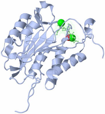 Image Biological Unit 3