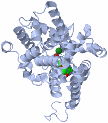 Image Biological Unit 1