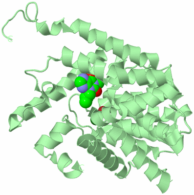 Image Biological Unit 2