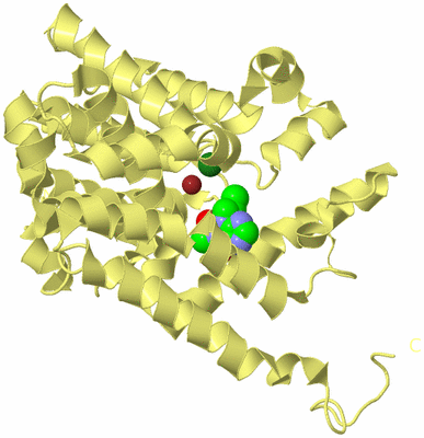 Image Biological Unit 4