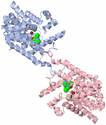 Image Biological Unit 5