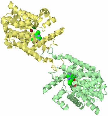 Image Biological Unit 6