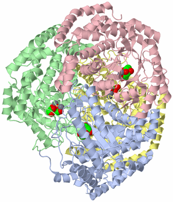 Image Asym./Biol. Unit