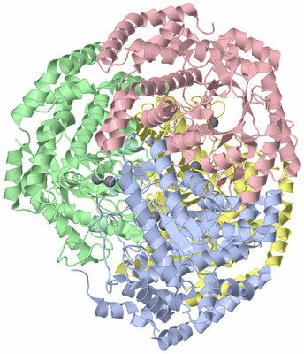 Image Asym./Biol. Unit