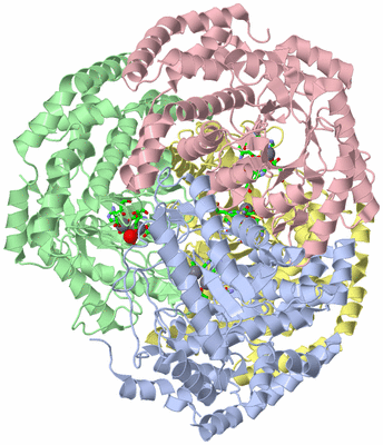 Image Asym./Biol. Unit - sites