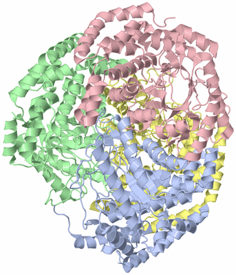 Image Asym./Biol. Unit