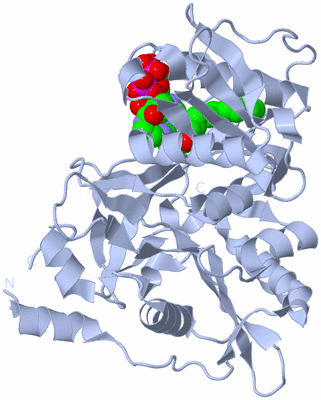 Image Biological Unit 1