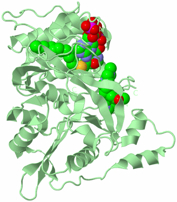 Image Biological Unit 2