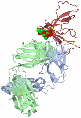 Image Biological Unit 1