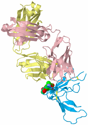 Image Biological Unit 2