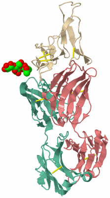 Image Biological Unit 3