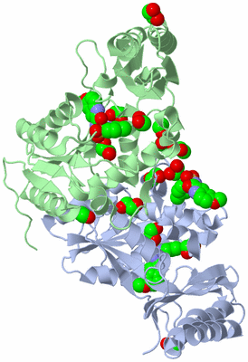 Image Biological Unit 1