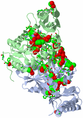 Image Biol. Unit 1 - sites