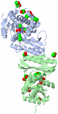 Image Biological Unit 2