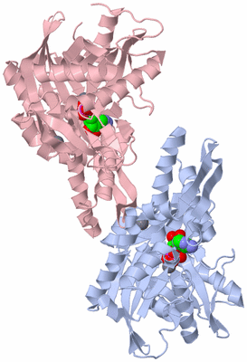 Image Biological Unit 1