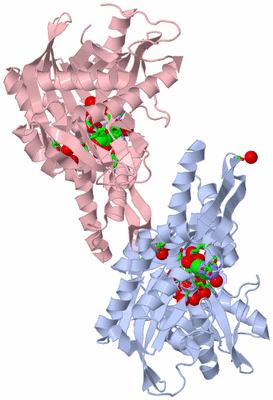 Image Biol. Unit 1 - sites