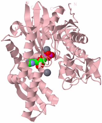 Image Biological Unit 3