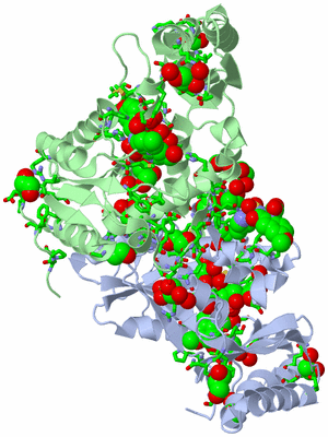 Image Biol. Unit 1 - sites