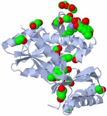 Image Biological Unit 2