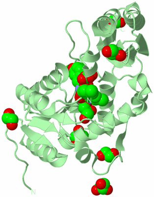 Image Biological Unit 3