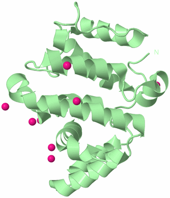 Image Biological Unit 2