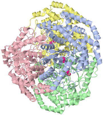 Image Asym./Biol. Unit