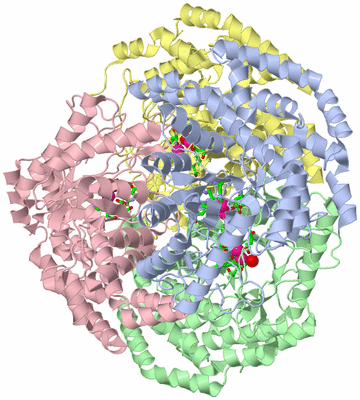 Image Asym./Biol. Unit - sites