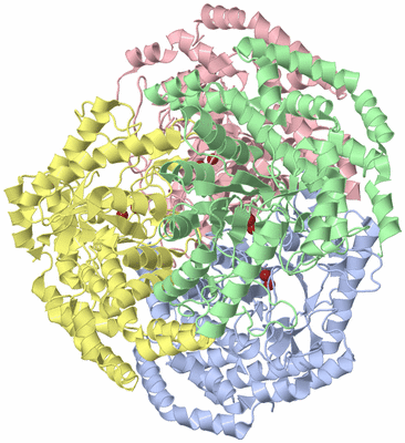 Image Asym./Biol. Unit