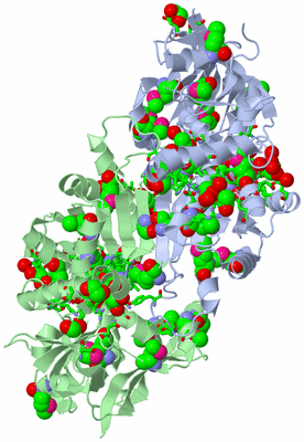 Image Asym./Biol. Unit - sites