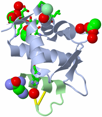 Image Biol. Unit 1 - sites