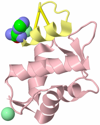 Image Biological Unit 2