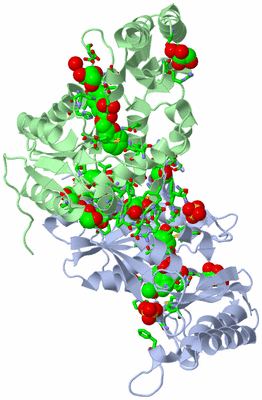 Image Asym. Unit - sites