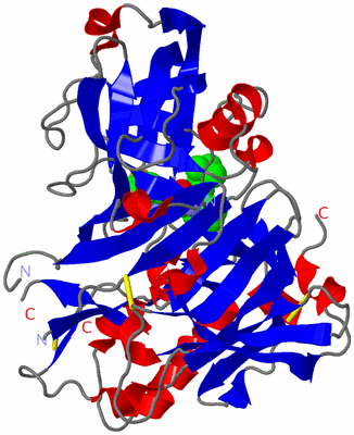 Image Asym./Biol. Unit