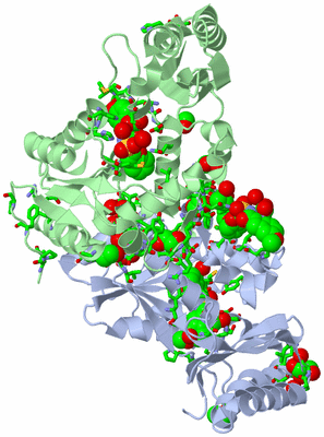 Image Biol. Unit 1 - sites