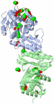 Image Biological Unit 2