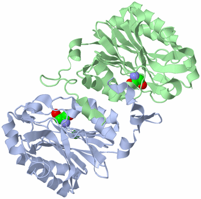 Image Asym./Biol. Unit