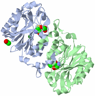 Image Asym./Biol. Unit