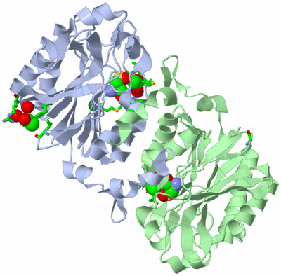 Image Asym./Biol. Unit - sites