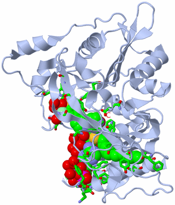 Image Biol. Unit 1 - sites