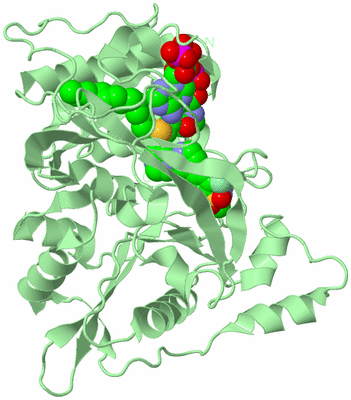 Image Biological Unit 2